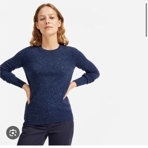 Everlane Cashmere Crew in Speckled Confetti Blue